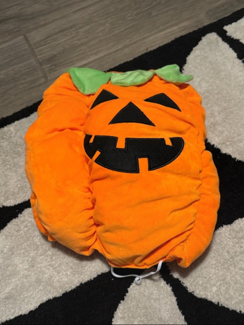 Zack & Zoey Orange Pumpkin Dog Costume with Green Leaf